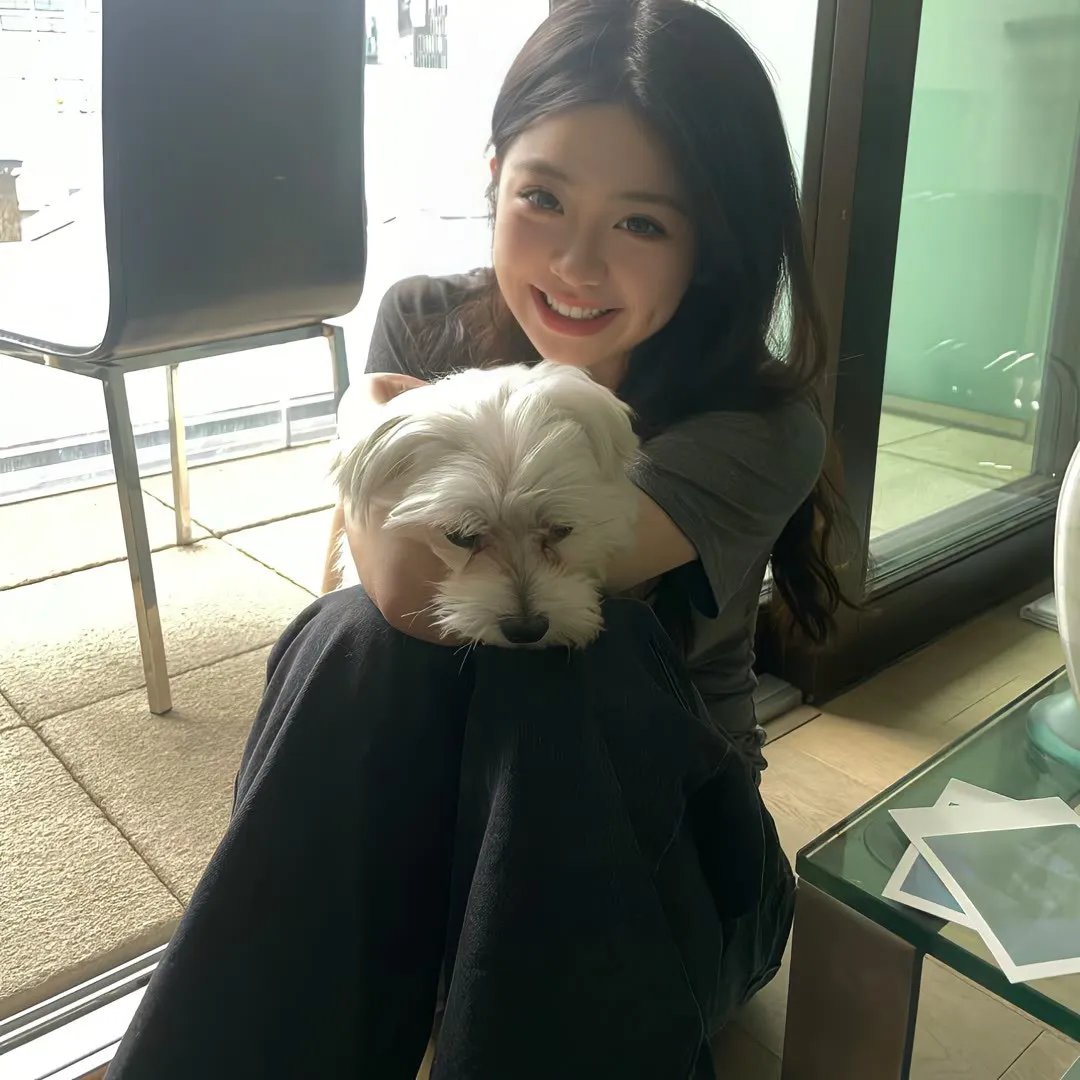 小狮王守护队:狮王再起